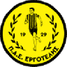 Ergotelis club crest