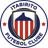 Itabirito club crest