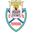 Feirense club crest