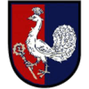 Petřvald na Moravě club crest