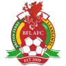 Briton Ferry club crest