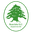 Boavista SC club crest