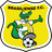 Brasiliense club crest