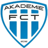 Táborsko II club crest