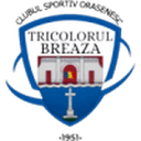 Tricolorul Breaza club crest