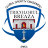 Tricolorul Breaza club crest