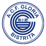 Gloria Bistriţa club crest