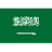 Saudi Arabia club crest