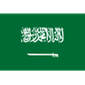 Saudi Arabia club crest
