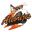 Alebrijes de Oaxaca club crest