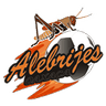 Alebrijes de Oaxaca club crest