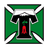 Deportes Temuco club crest