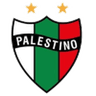 Palestino club crest