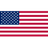 USA club crest