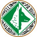 Avellino U19 club crest
