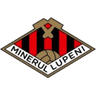 Minerul Lupeni club crest