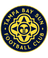 Tampa Bay Sun W club crest