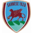 Sarnese club crest