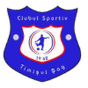 Timişul Şag club crest