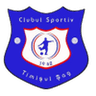 Timişul Şag club crest