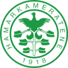 HamKam W club crest