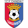 Chindia Targoviste club crest