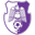 Arges Pitesti club crest