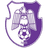 Arges Pitesti club crest