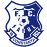 Farul Constanta club crest
