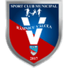 CSM Ramnicu Valcea club crest