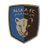 Al Ula club crest