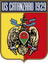 Catanzaro U19 club crest