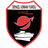 Denizli İYG club crest