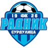 Radnik Surdulica club crest