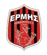 Ermis Exochi club crest