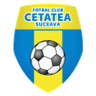Cetatea Suceava club crest