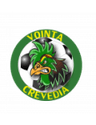 Voința Crevedia club crest