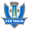 CSM Targu Jiu club crest