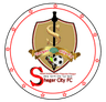 Sheger Ketema club crest