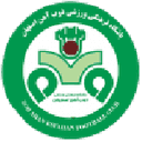 ZOB Ahan club crest