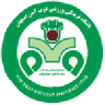 ZOB Ahan club crest
