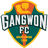 Gangwon FC club crest