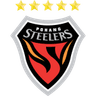 Pohang Steelers club crest