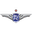 Bangkok United club crest