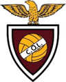 Oriental U19 club crest
