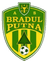 Bradul Putna club crest
