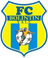 Bolintin Vale club crest