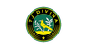 Divina club crest
