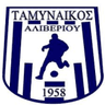 Tamynaikos Aliveriou club crest