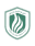 Ghaz Al Shamal club crest